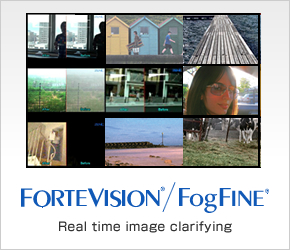 ForteVision