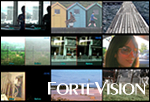 ForteVision(IP products)